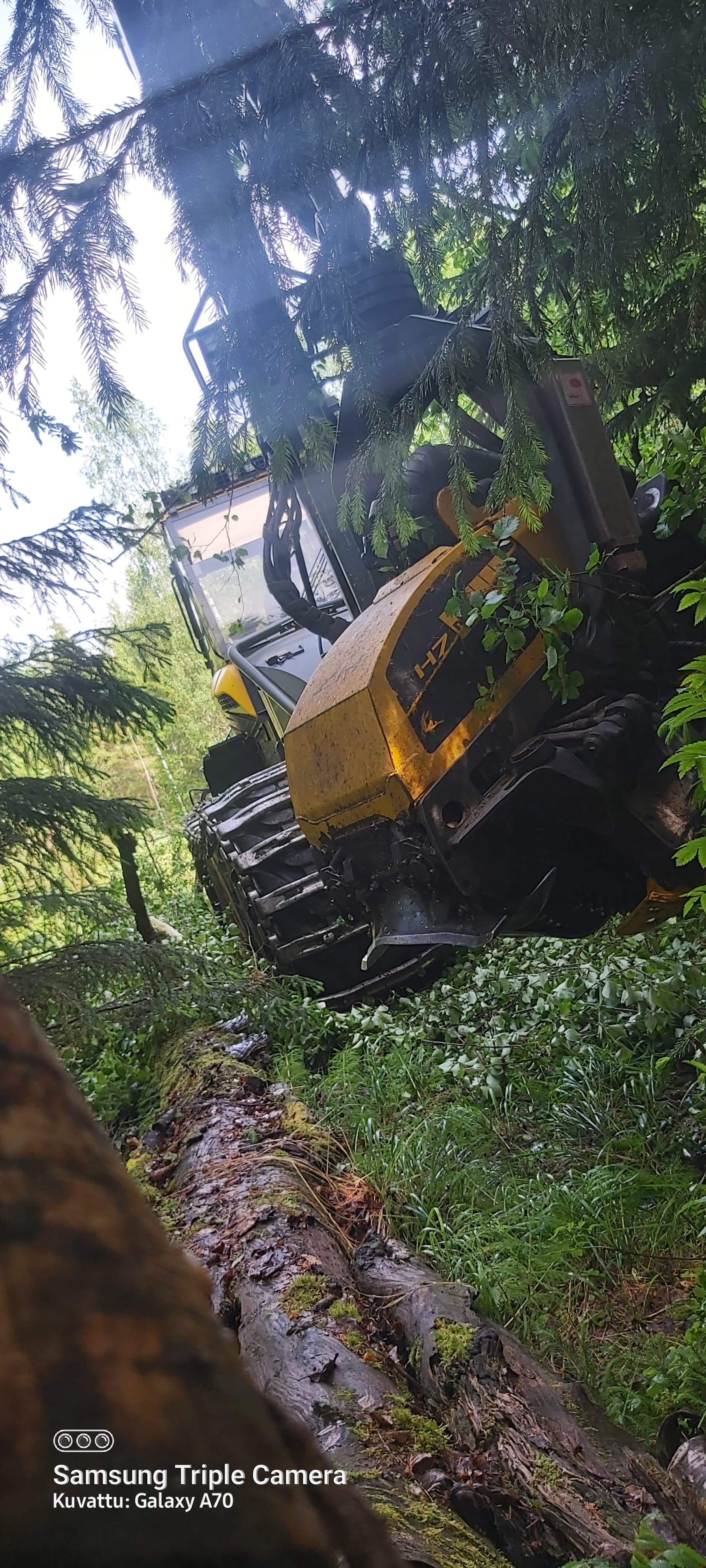 Kesäinen korjuutyö 20220614_162827