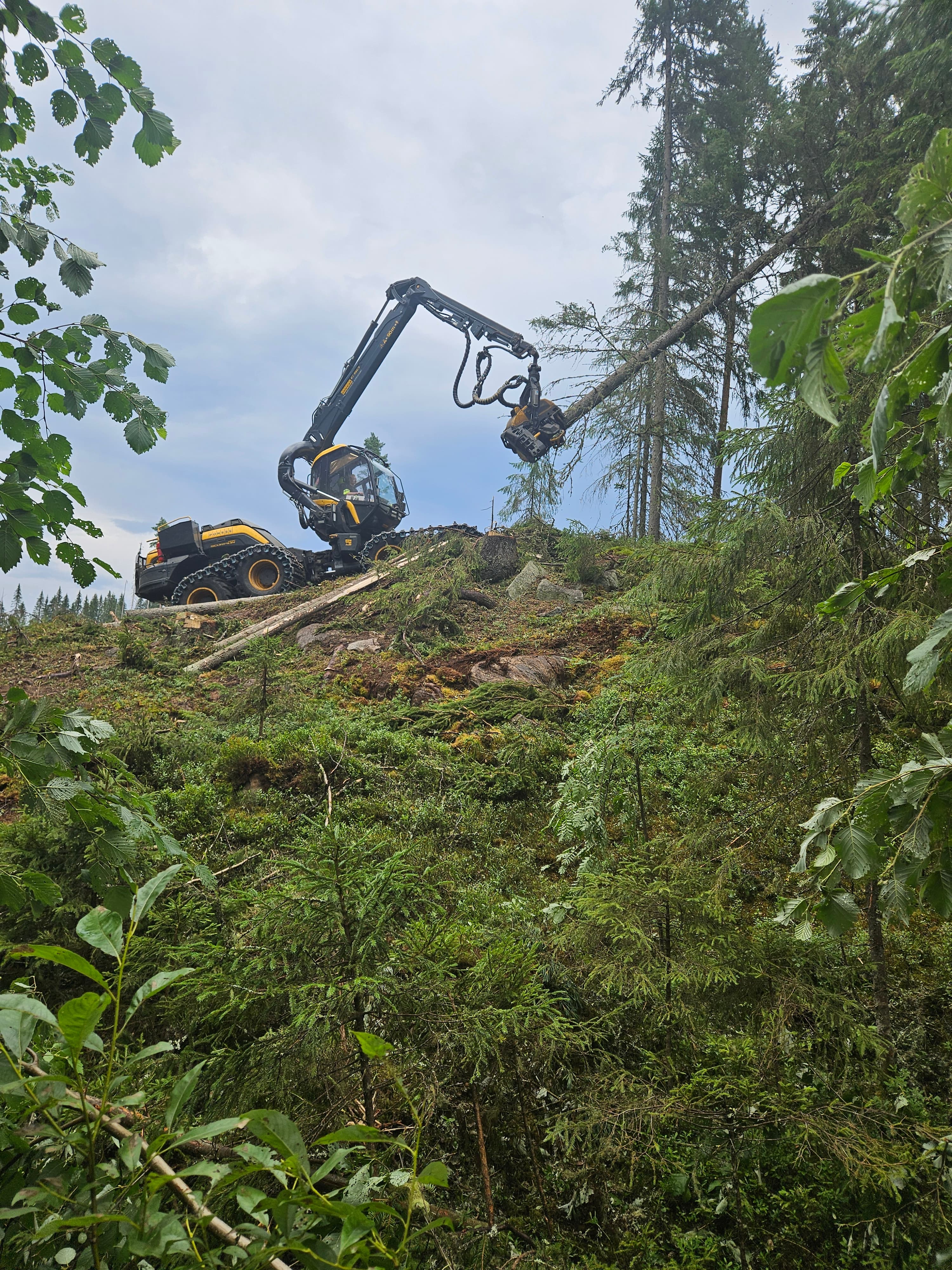 Liity Karttulan Metsätyön porukkaan